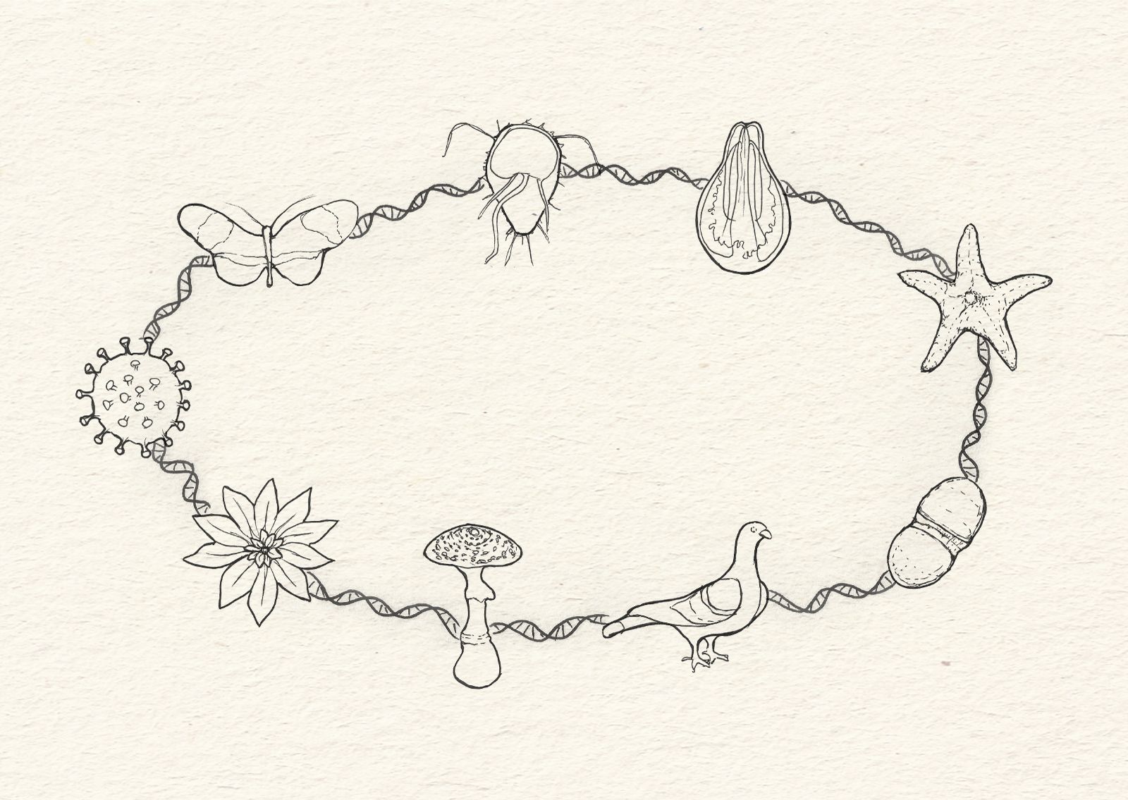 An illustration of various organisms connected by a DNA strand.