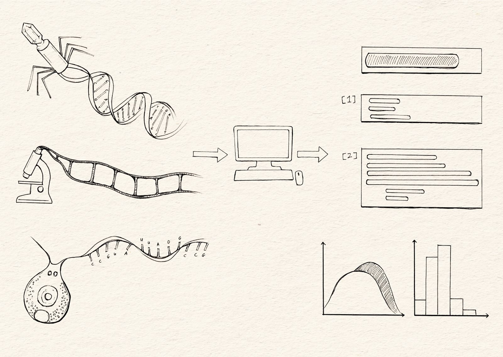 An illustration of a computer transforming biological information into reports and visualizations.